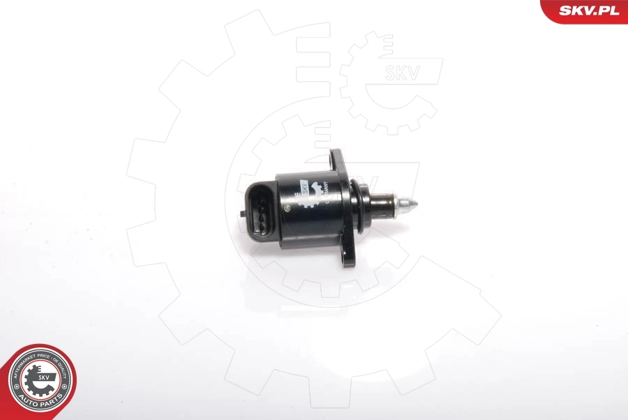 Idle Control Valve, air supply